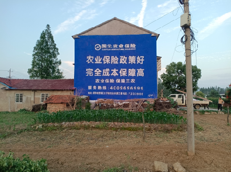 新田墙体广告的优劣势你知道吗？